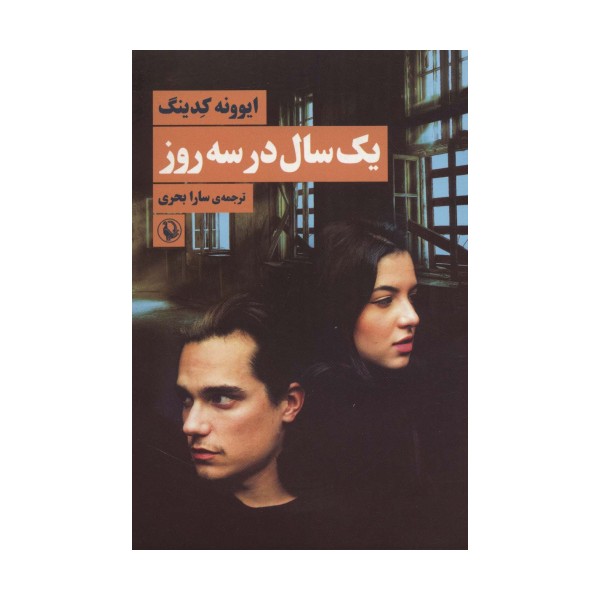 یک سال در سه روز