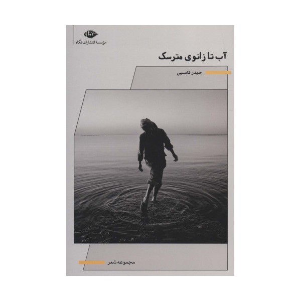 آب تا زانوی مترسک (مجموعه شعر)