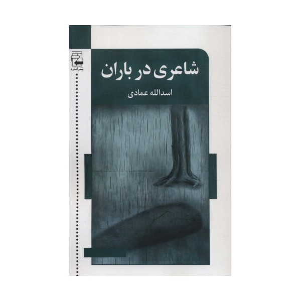 شاعری در باران