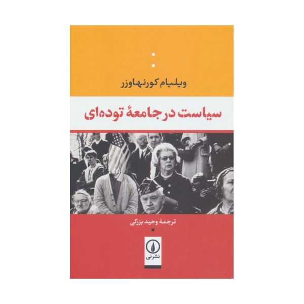 سیاست در جامعه توده ای