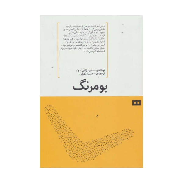 بومرنگ