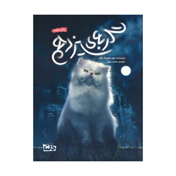 گربه ی سیزدهم