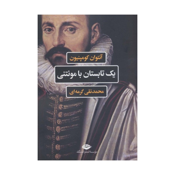 یک تابستان با مونتنی