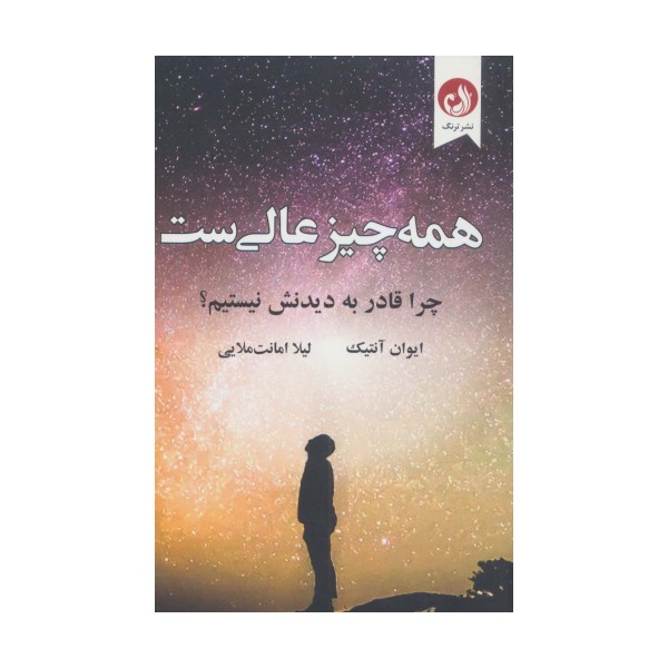 همه چیز عالی ست (چرا قادر به دیدنش نیستیم؟)