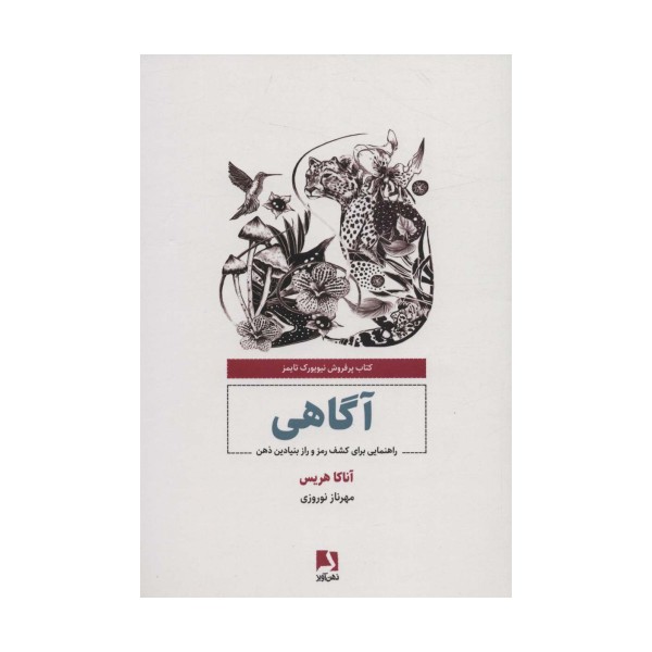 آگاهی (راهنمایی برای کشف رمز و راز بنیادین ذهن)