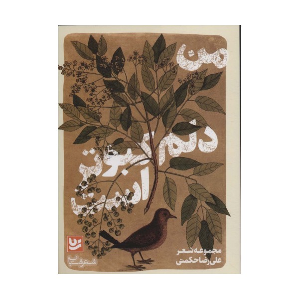 من دلم کبوتر است (شعر شباب33)