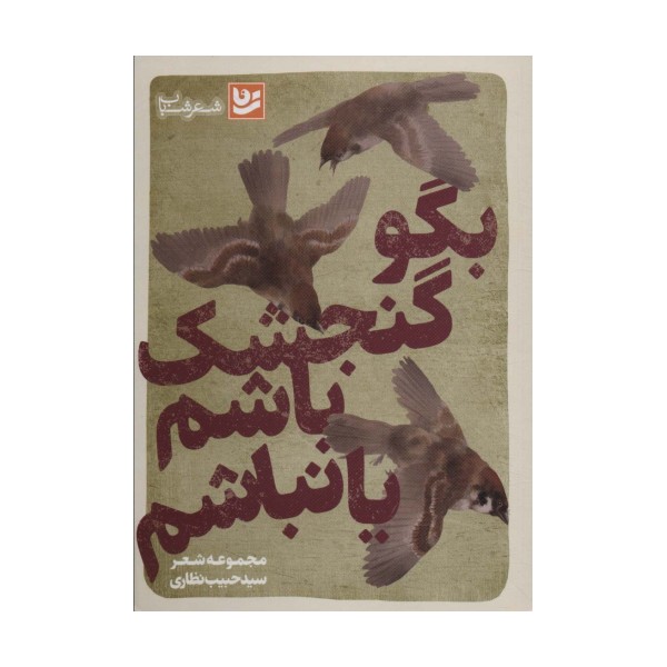 بگو گنجشک باشم یا نباشم (شعر شباب29)