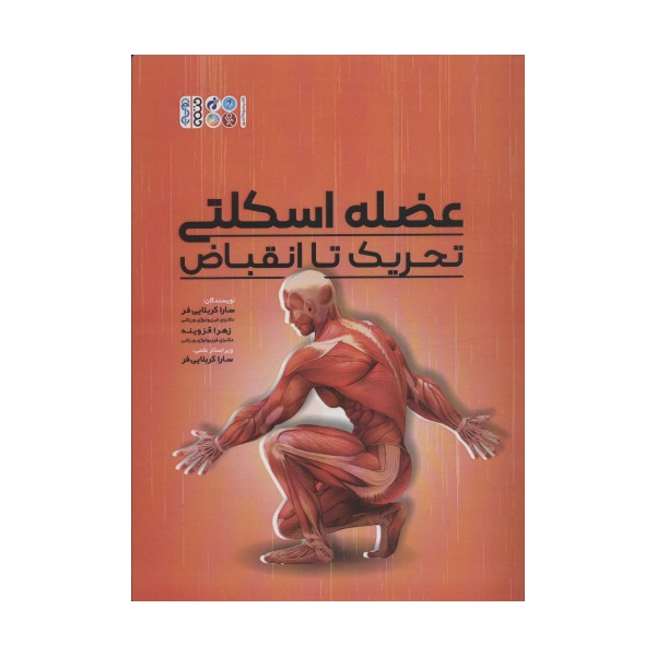 عضلات اسکلتی (تحریک تا انقباض)
