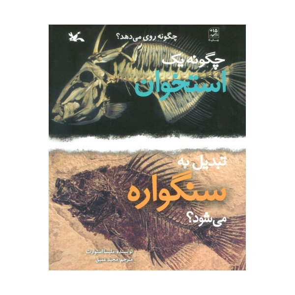 چگونه یک استخوان تبدیل به سنگواره می شود؟