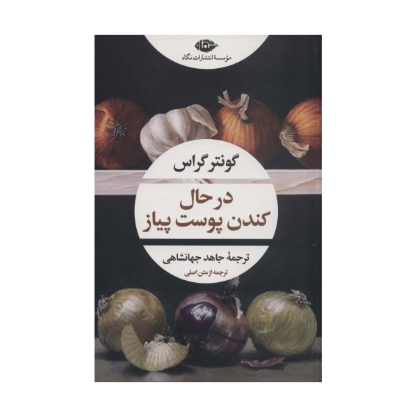 در حال کندن پوست پیاز (ادبیات مدرن جهان،چشم و چراغ157)