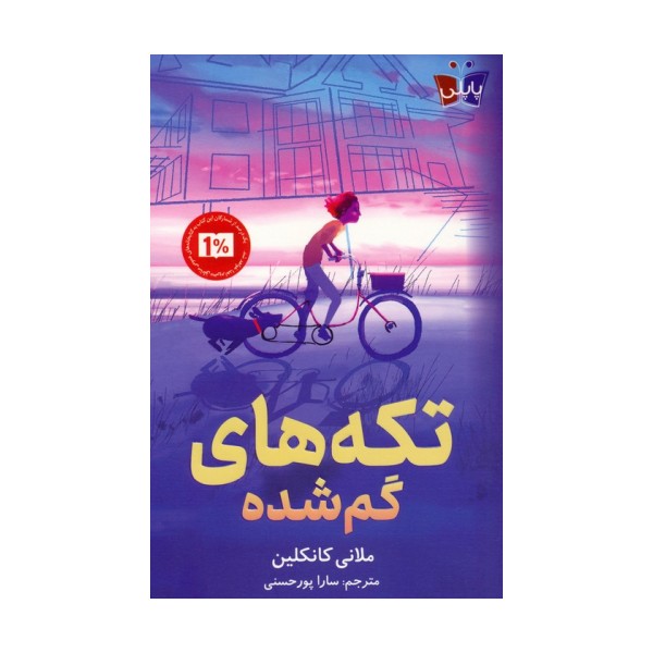 تکه های گم شده