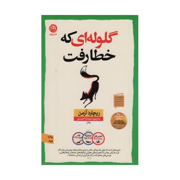گلوله ای که خطا رفت