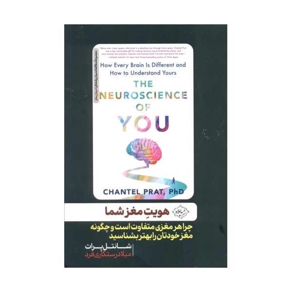 هویت مغز شما (چرا هر مغزی متفاوت است و چگونه مغز خودتان را بهتر بشناسید)