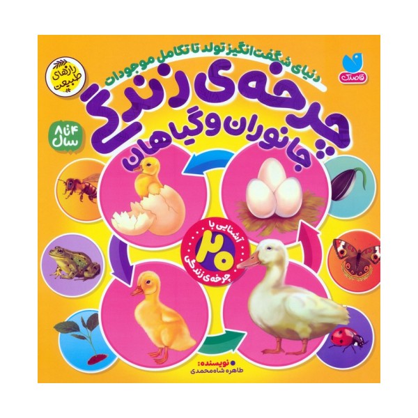 چرخه ی زندگی جانوران و گیاهان (دنیای شگفت انگیز تولد تا تکامل موجودات)