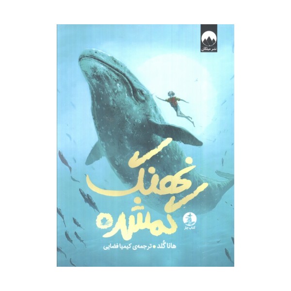 نهنگ گمشده