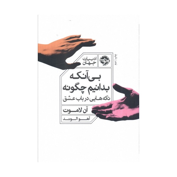 بی آنکه بدانیم چگونه (تکه هایی در باب عشق)