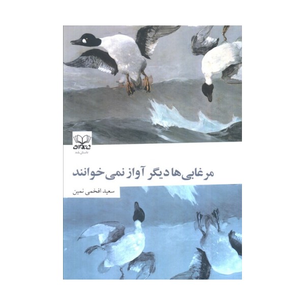 مرغابی ها دیگر آواز نمی خوانند