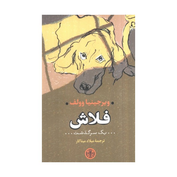 فلاش (یک سرگذشت)