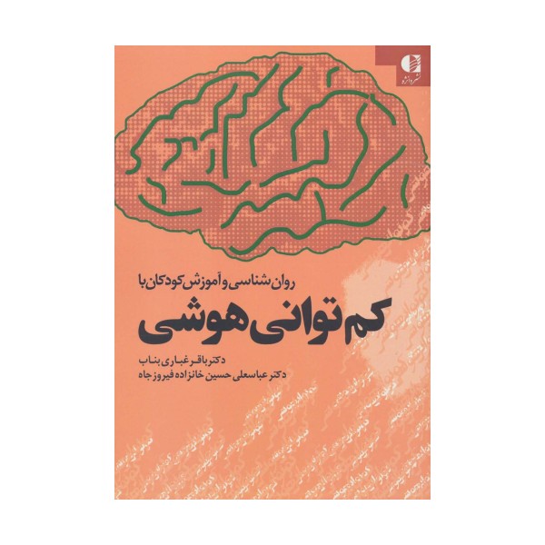 روان شناسی و آموزش کودکان با کم توانی هوشی
