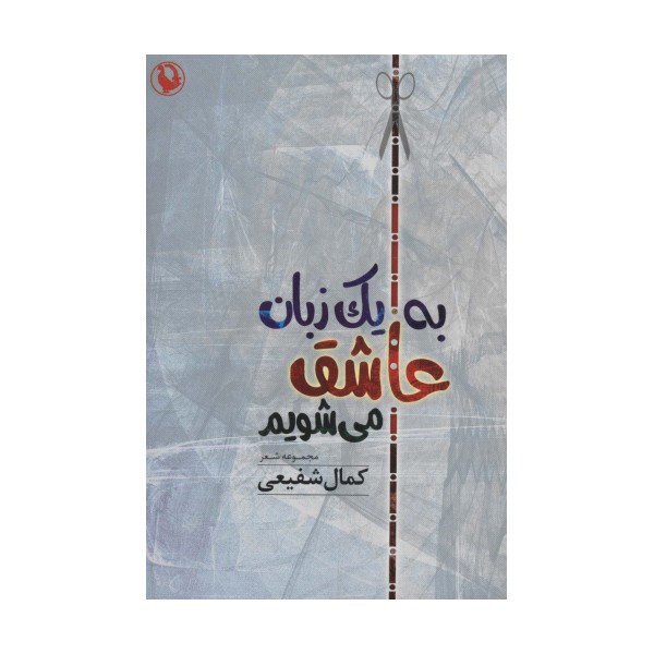 به یک زبان عاشق می شویم (مجموعه شعر)
