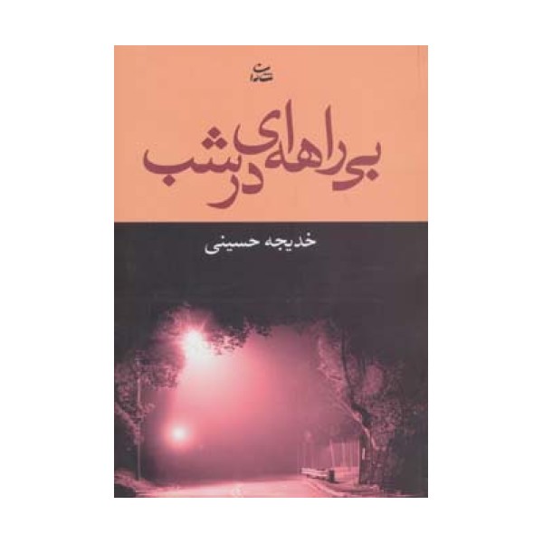بی راهه ای در شب