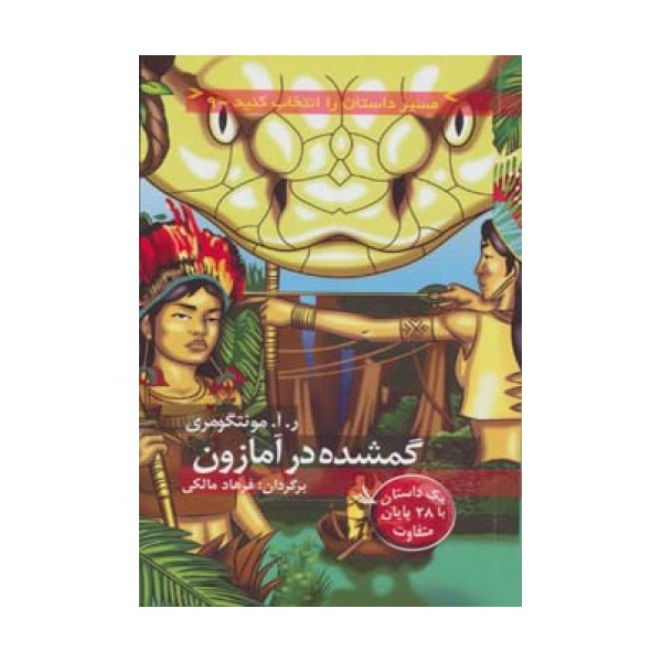 مسیر داستان را انتخاب کنید 9 (گمشده در آمازون:با 28 پایان متفاوت)