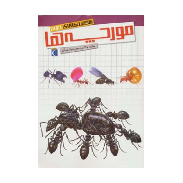 شگفتی های جهان (مورچه ها)