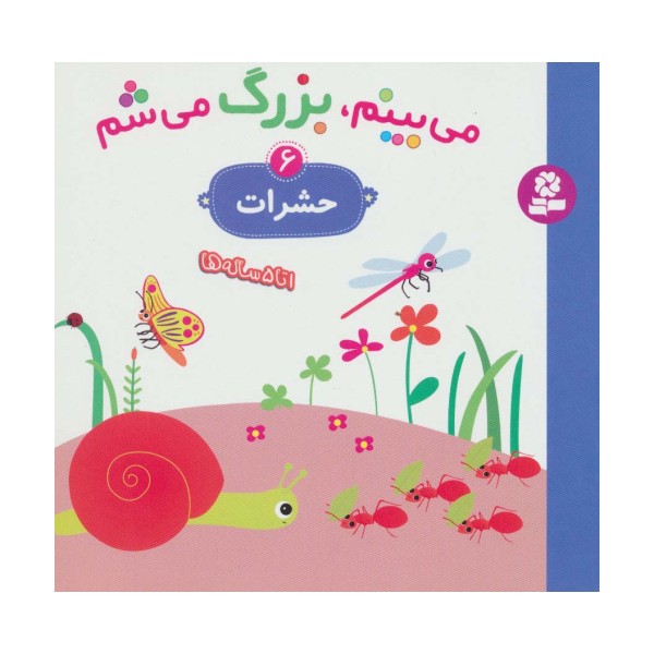 می بینم،بزرگ می شم 6 (حشرات)،(گلاسه)