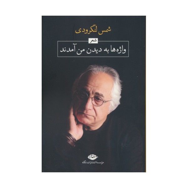 واژه ها به دیدن من آمدند