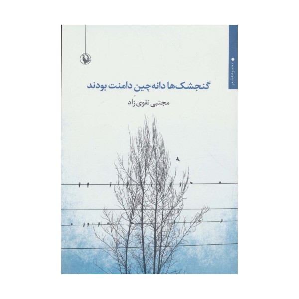 گنجشک ها دانه چین دامنت بودند (مجموعه شعر)