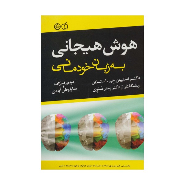 هوش هیجانی به زبان خودمانی