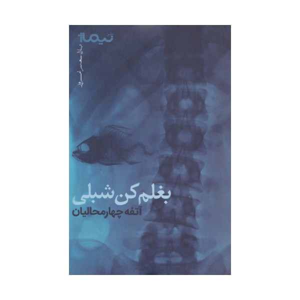 بغلم کن شبلی (پازل شعر امروز)