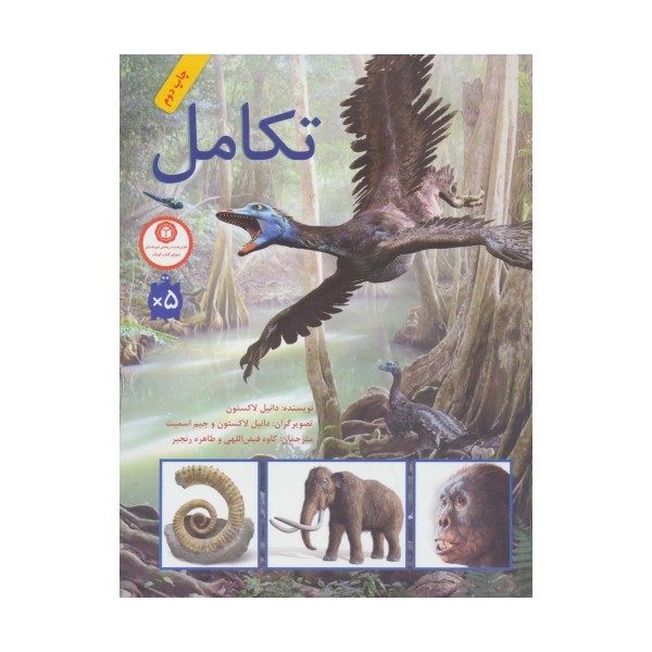 تکامل (گلاسه)