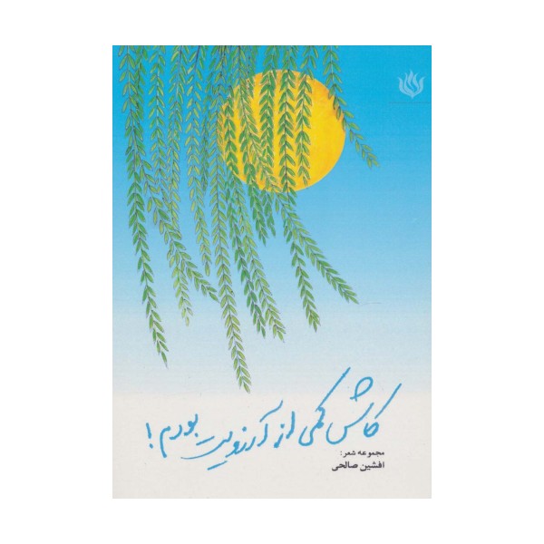کاش کمی از آرزویت بودم! (مجموعه شعر)