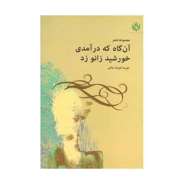 آن گاه که درآمدی خورشید زانو زد (مجموعه شعر)
