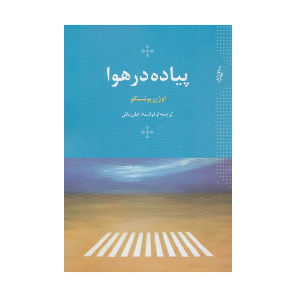 پیاده در هوا