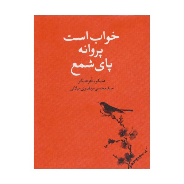 خواب است پروانه پای شمع (هایکو و فتوهایکو)