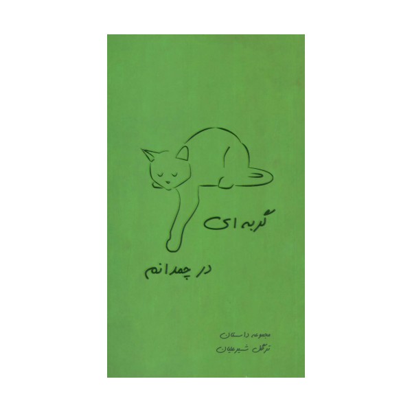 گربه ای در چمدانم (مجموعه داستان)