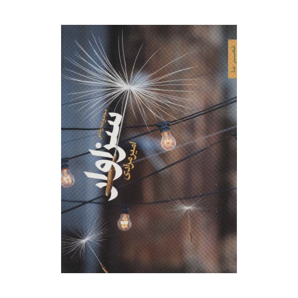سزاوار (شعر ما،مجموعه رباعی)