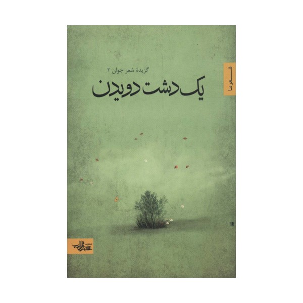 یک دشت دویدن (گزیده شعر جوان 2)