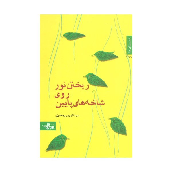 ریختن نور روی شاخه های پایین (داستان ما،رمان ایرانی19)