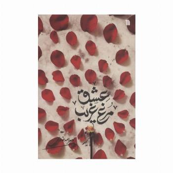 مرغ غریب عشق