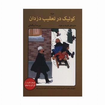 کوئیک در تعقیب دزدان (ماجراهای کوئیک و فلوک)،(کمیک استریپ)