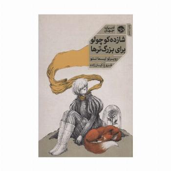 شازده کوچولو برای بزرگترها