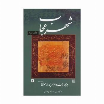 شهر عجاب (هزار بیت و هزار پند از مولانا)