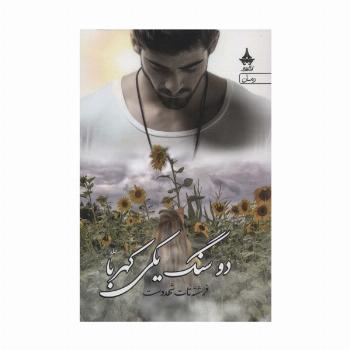 دو سنگ یکی کهربا (2جلدی)