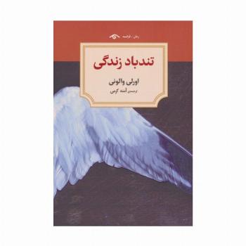 تندباد زندگی