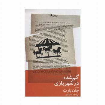 گم شده در شهربازی (ادبیات جهان)