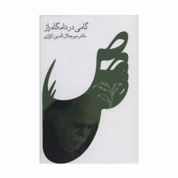 گامی در دامگاه راز