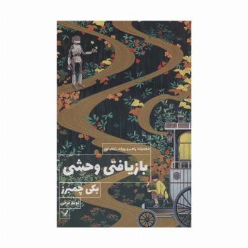 بازیافتی وحشی (کتاب اول:مجموعه راهب و روبات)